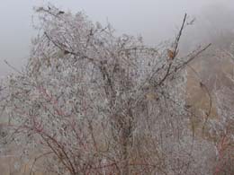 foto galverna e nebbia gennaio 2005